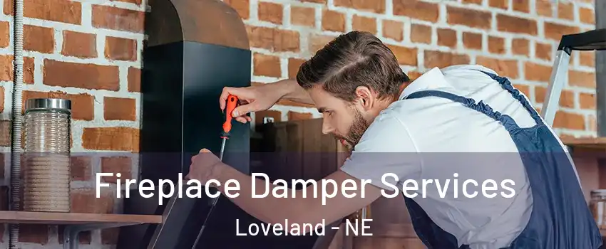 Fireplace Damper Services Loveland - NE