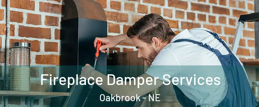 Fireplace Damper Services Oakbrook - NE