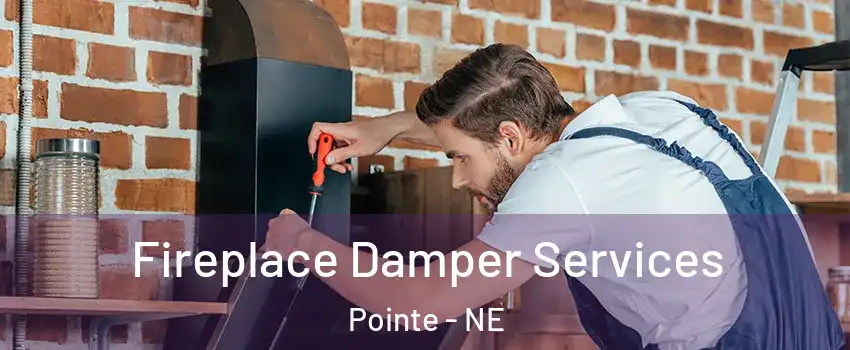 Fireplace Damper Services Pointe - NE