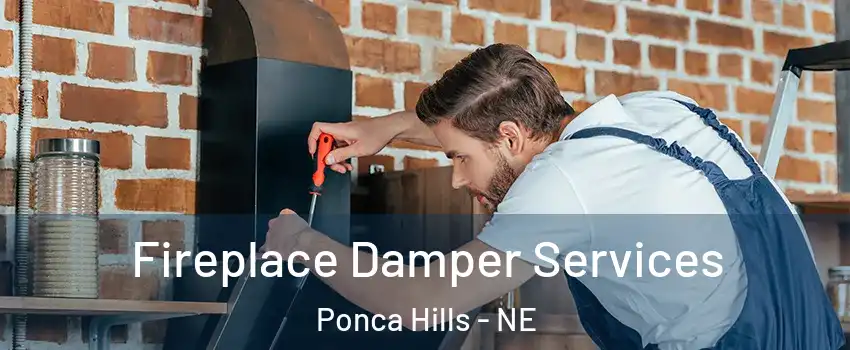 Fireplace Damper Services Ponca Hills - NE