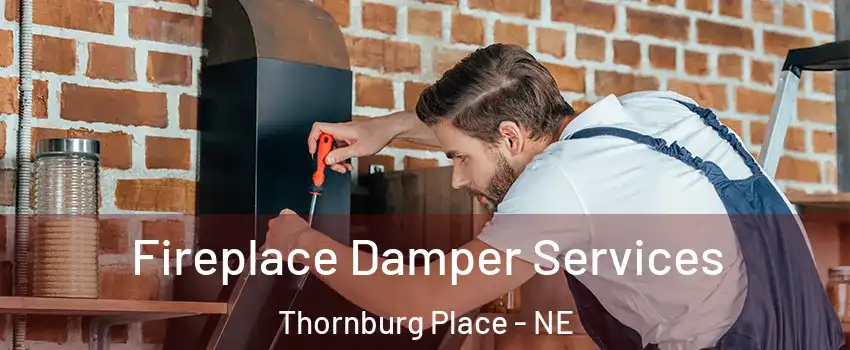 Fireplace Damper Services Thornburg Place - NE