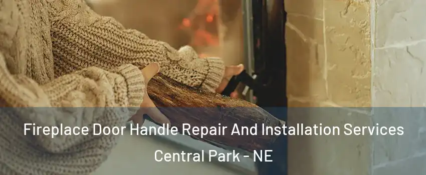 Fireplace Door Handle Repair And Installation Services Central Park - NE