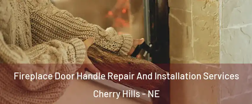 Fireplace Door Handle Repair And Installation Services Cherry Hills - NE