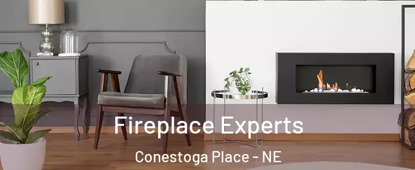 Fireplace Experts Conestoga Place - NE