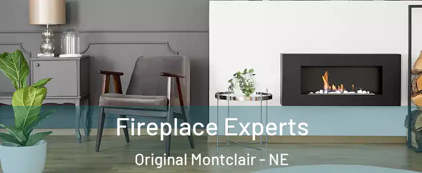 Fireplace Experts Original Montclair - NE