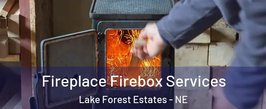 Fireplace Firebox Services Lake Forest Estates - NE