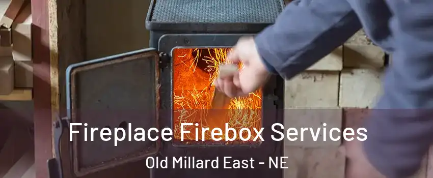 Fireplace Firebox Services Old Millard East - NE