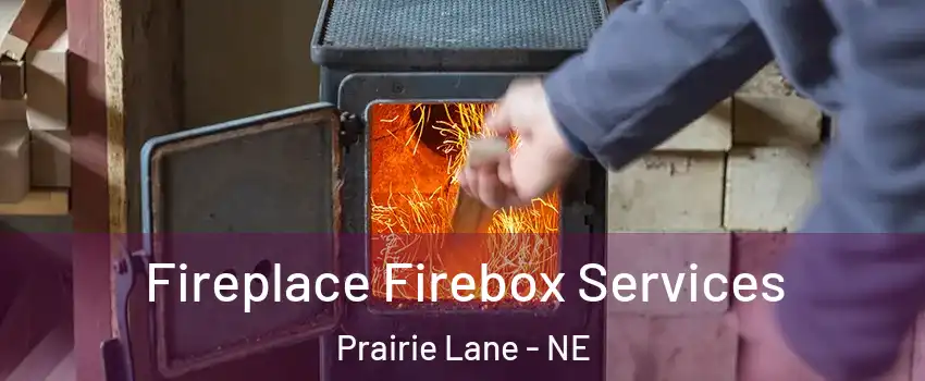 Fireplace Firebox Services Prairie Lane - NE