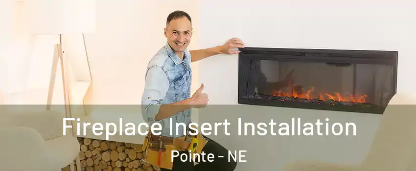 Fireplace Insert Installation Pointe - NE