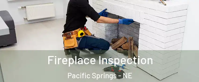 Fireplace Inspection Pacific Springs - NE