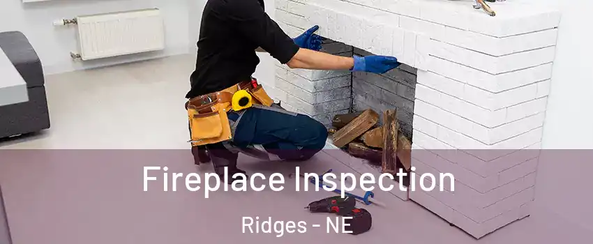 Fireplace Inspection Ridges - NE