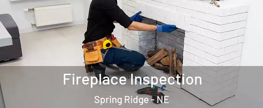 Fireplace Inspection Spring Ridge - NE