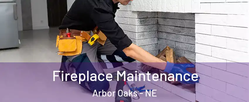 Fireplace Maintenance Arbor Oaks - NE