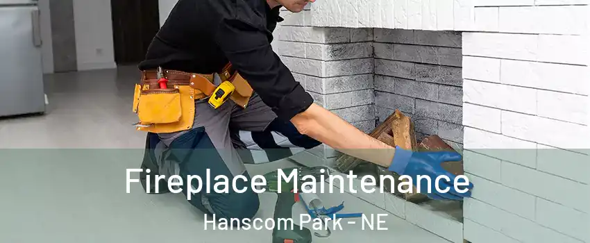 Fireplace Maintenance Hanscom Park - NE