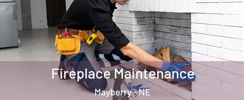 Fireplace Maintenance Mayberry - NE