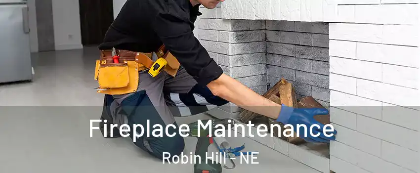 Fireplace Maintenance Robin Hill - NE