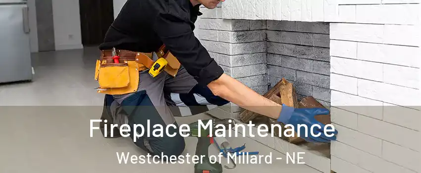 Fireplace Maintenance Westchester of Millard - NE