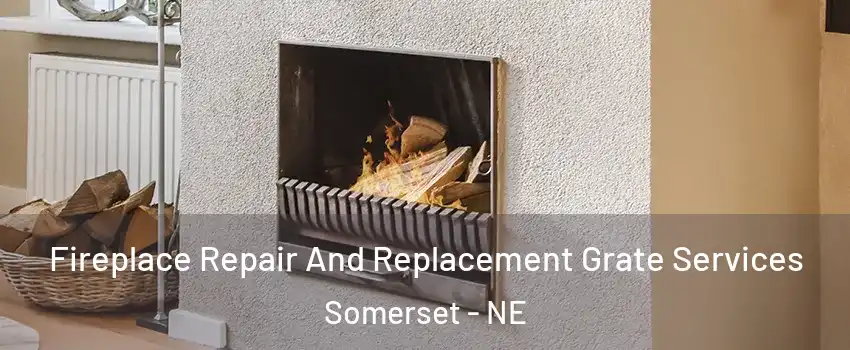 Fireplace Repair And Replacement Grate Services Somerset - NE