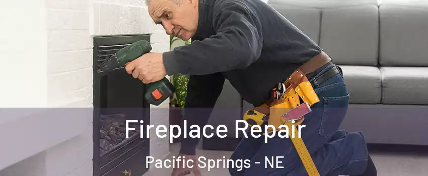 Fireplace Repair Pacific Springs - NE