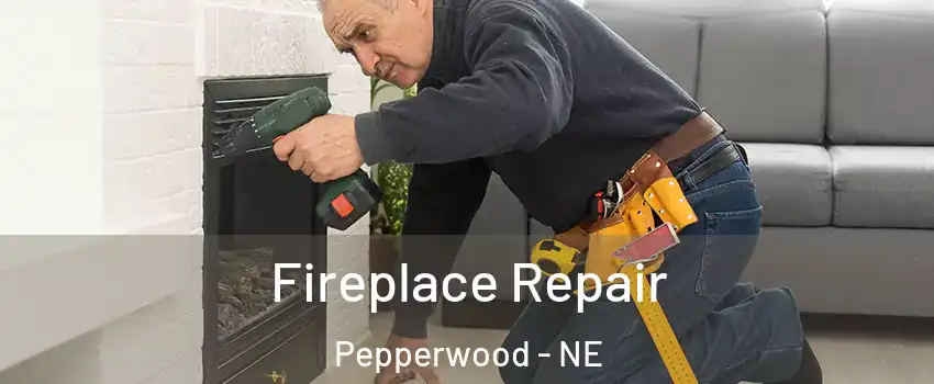 Fireplace Repair Pepperwood - NE