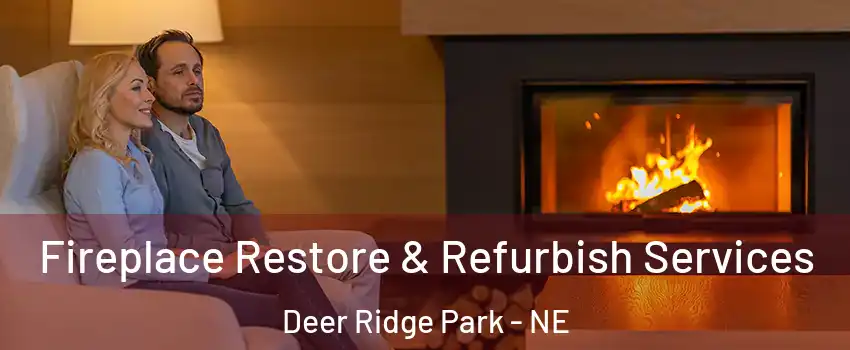 Fireplace Restore & Refurbish Services Deer Ridge Park - NE