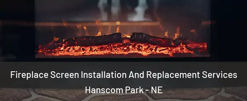 Fireplace Screen Installation And Replacement Services Hanscom Park - NE