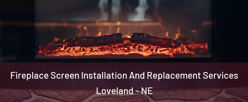 Fireplace Screen Installation And Replacement Services Loveland - NE