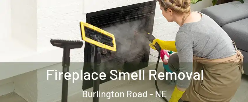 Fireplace Smell Removal Burlington Road - NE