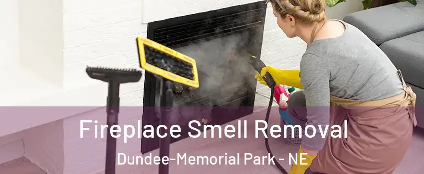 Fireplace Smell Removal Dundee-Memorial Park - NE