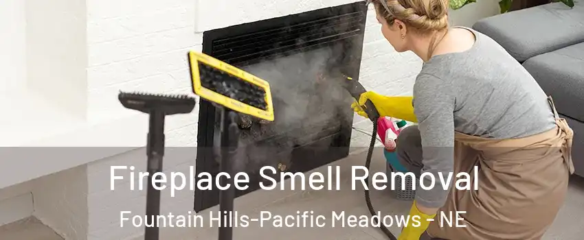 Fireplace Smell Removal Fountain Hills-Pacific Meadows - NE