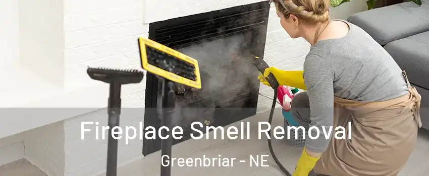 Fireplace Smell Removal Greenbriar - NE