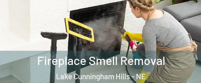 Fireplace Smell Removal Lake Cunningham Hills - NE