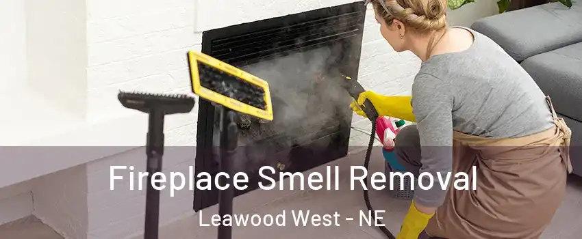 Fireplace Smell Removal Leawood West - NE