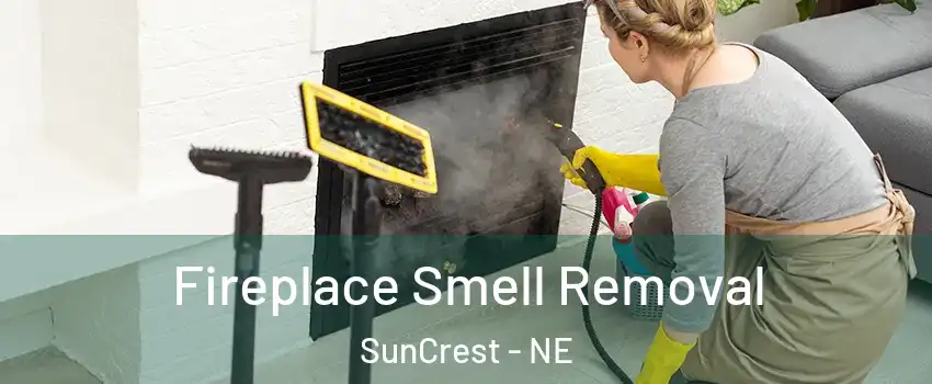 Fireplace Smell Removal SunCrest - NE