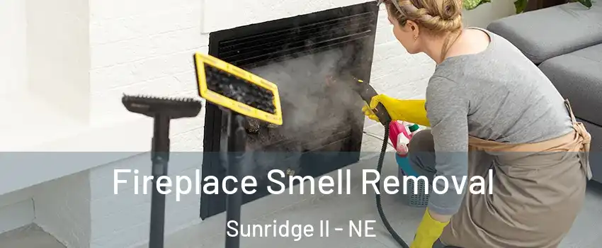 Fireplace Smell Removal Sunridge II - NE