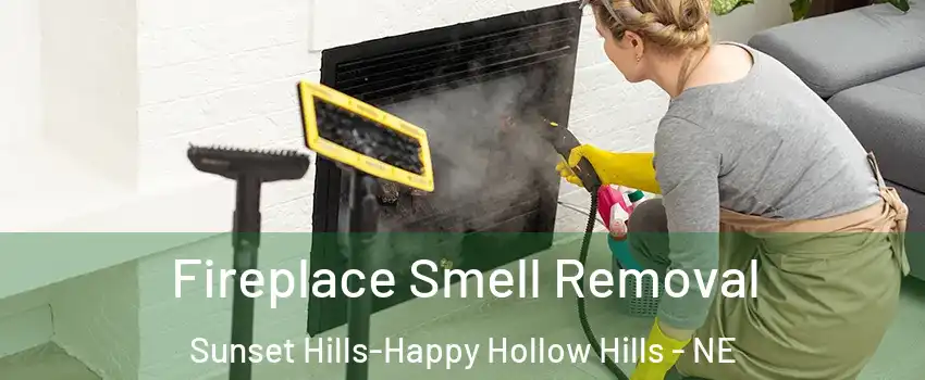 Fireplace Smell Removal Sunset Hills-Happy Hollow Hills - NE