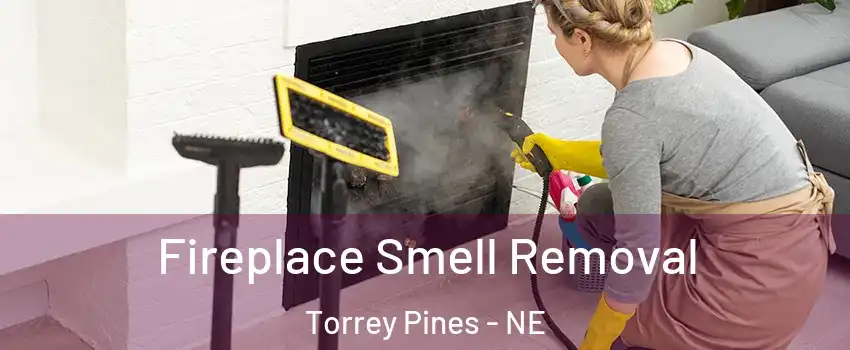 Fireplace Smell Removal Torrey Pines - NE