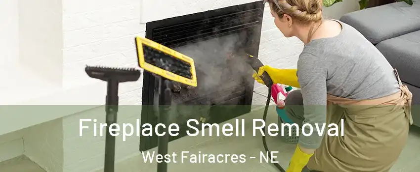 Fireplace Smell Removal West Fairacres - NE