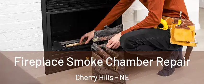 Fireplace Smoke Chamber Repair Cherry Hills - NE