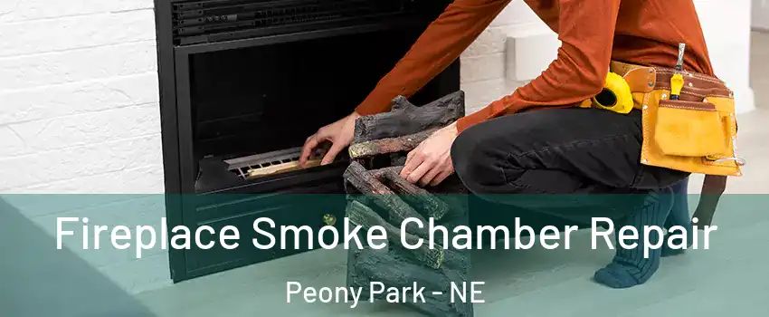 Fireplace Smoke Chamber Repair Peony Park - NE