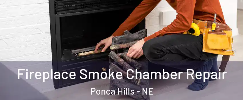 Fireplace Smoke Chamber Repair Ponca Hills - NE