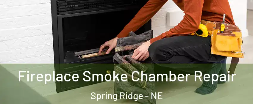 Fireplace Smoke Chamber Repair Spring Ridge - NE