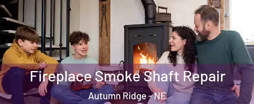 Fireplace Smoke Shaft Repair Autumn Ridge - NE