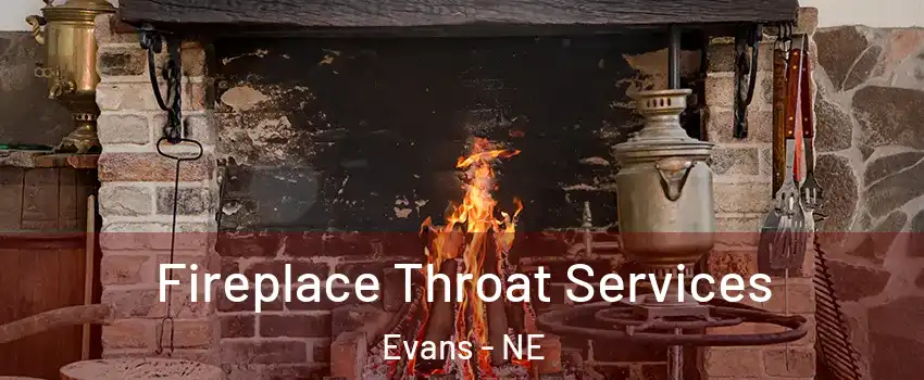 Fireplace Throat Services Evans - NE