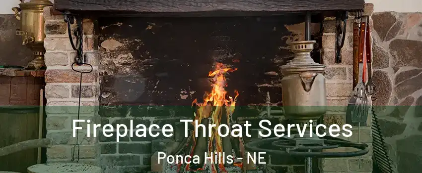 Fireplace Throat Services Ponca Hills - NE