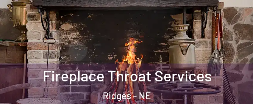 Fireplace Throat Services Ridges - NE