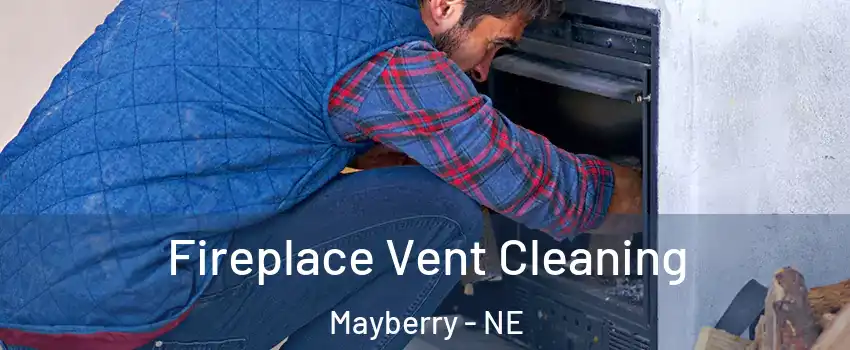 Fireplace Vent Cleaning Mayberry - NE