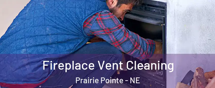 Fireplace Vent Cleaning Prairie Pointe - NE