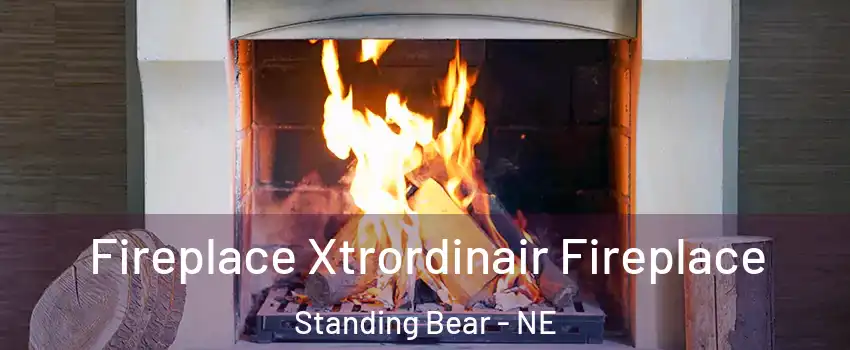 Fireplace Xtrordinair Fireplace Standing Bear - NE