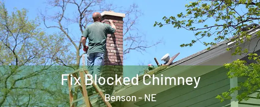 Fix Blocked Chimney Benson - NE